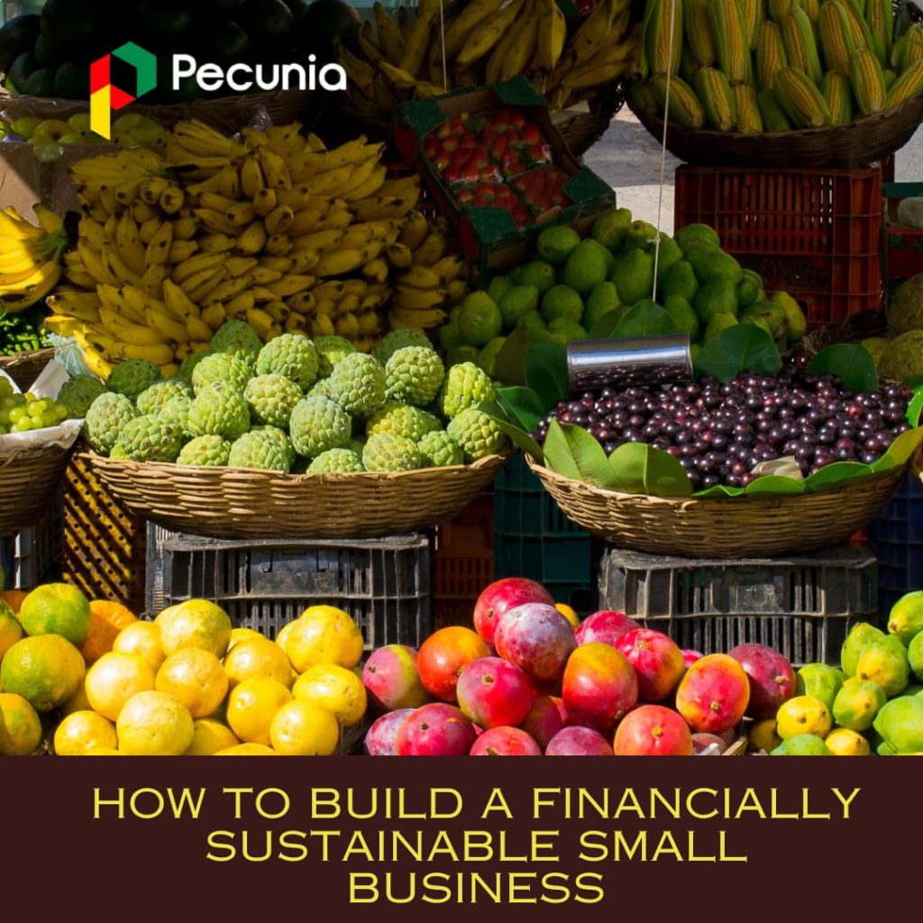 HOW TO BUILD A FINANCIALLY SUSTAINABLE SMALL BUSINESS 